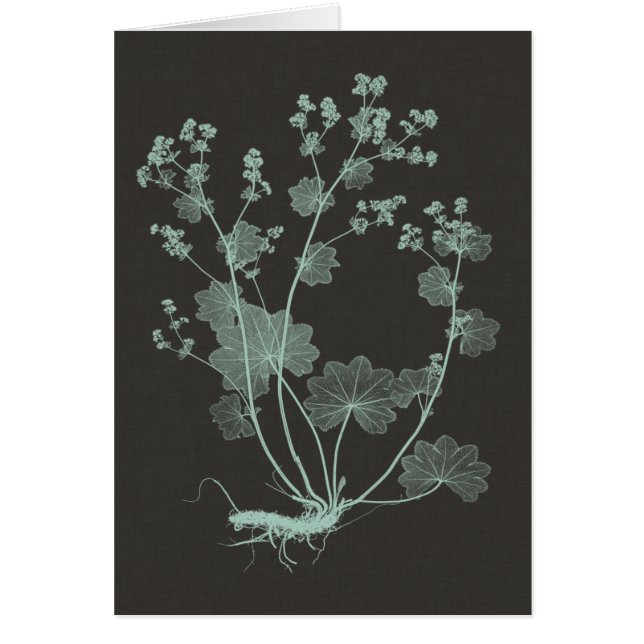 Mint & Charcoal Nature Study I (Front)