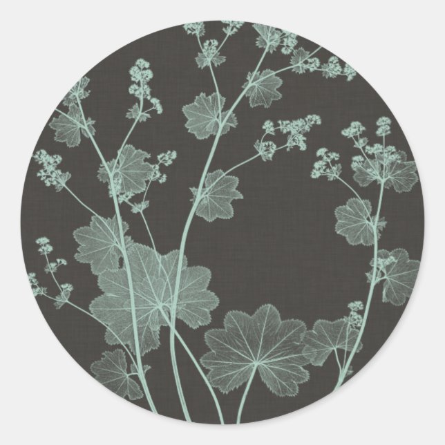 Mint & Charcoal Nature Study I Classic Round Sticker (Front)