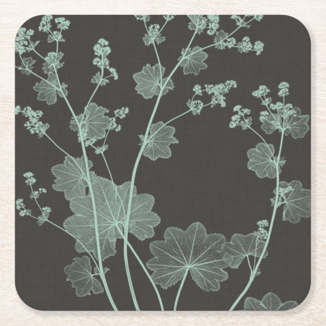 Mint & Charcoal Nature Study I Square Paper Coaster (Front)