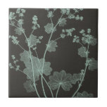Mint & Charcoal Nature Study I Tile<br><div class="desc">Floral</div>