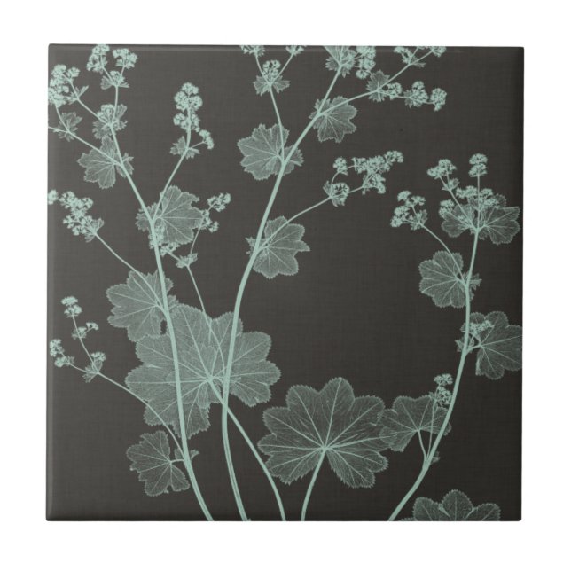 Mint & Charcoal Nature Study I Tile (Front)