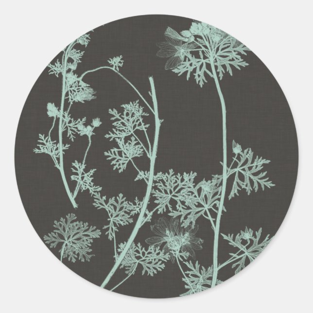 Mint & Charcoal Nature Study IV Classic Round Sticker (Front)