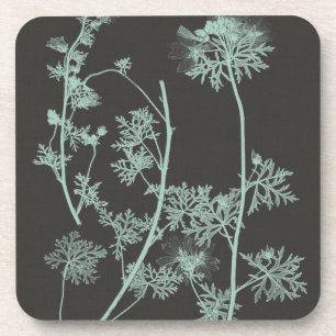 Mint & Charcoal Nature Study IV Coaster