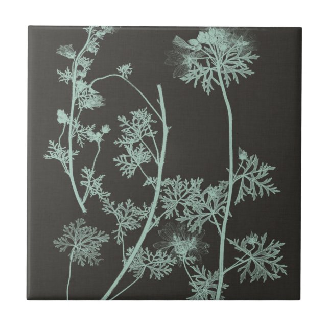 Mint & Charcoal Nature Study IV Tile (Front)
