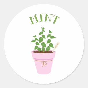 Mint Classic Round Sticker