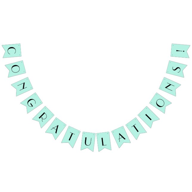 Mint Congratulations Bunting Flags (All)