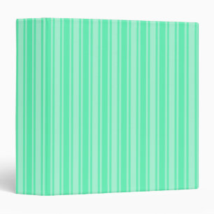 Mint green candy stripes binder