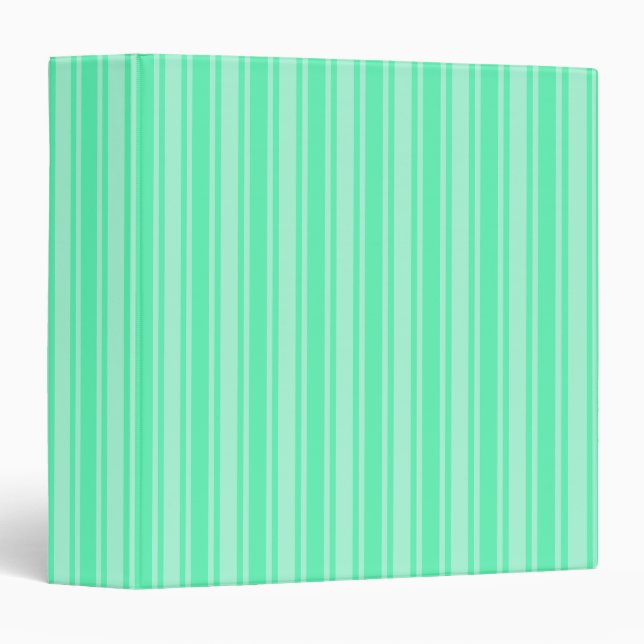 Mint green candy stripes binder (Front/Spine)