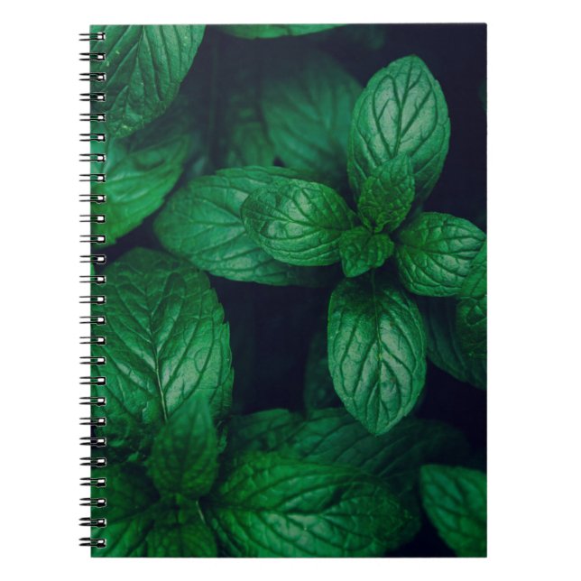 Mint green leaves pattern background notebook (Front)