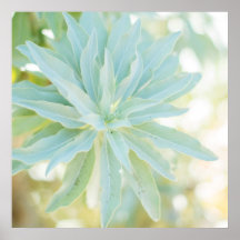 Mint Green SucculentCactus Flower Nature Art Print