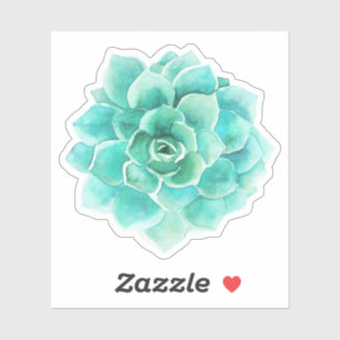 Mint-green watercolors cactus illustration