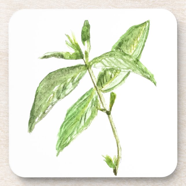 Mint herb coaster (Front)