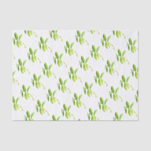 Mint herb Watercolor Greenery Mom Pattern  Tissue Paper