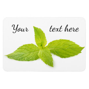 Mint leaves magnet