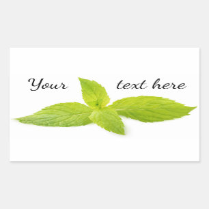 Mint leaves sticker