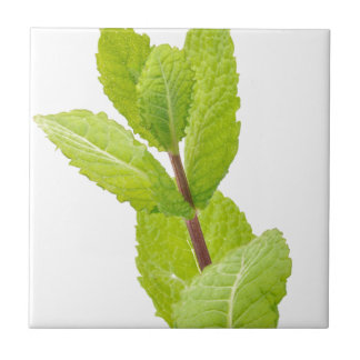 Mint leaves tile