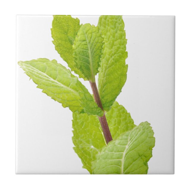 Mint leaves tile (Front)