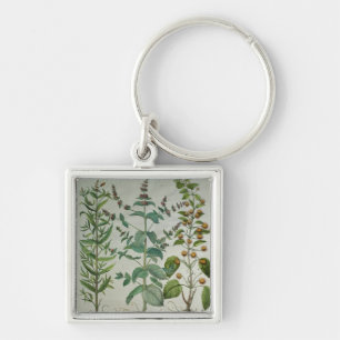 Mint: Mentha crispa Keychain