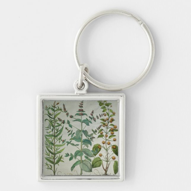 Mint: Mentha crispa Keychain (Front)