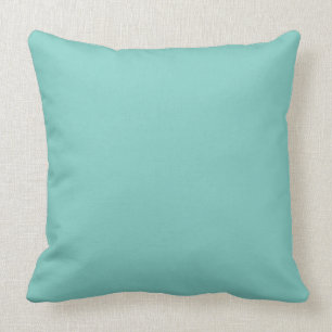 Mint Mint Green Solid Colour Throw Pillow