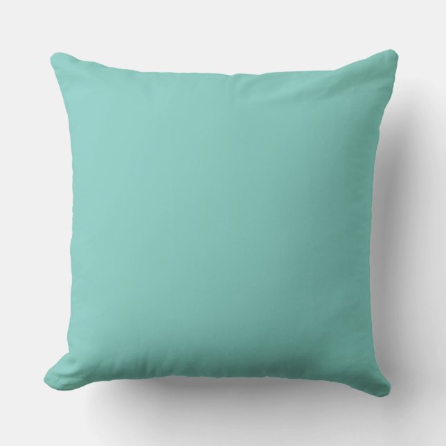 Mint Mint Green Solid Colour Throw Pillow (Front)