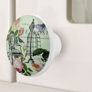 mint modern vintage french rose  butterfly paris ceramic knob