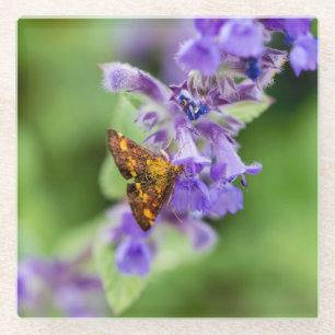 Mint Moth Glass Coaster