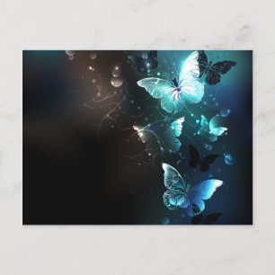 Mint Night Butterflies Invitation Postcard