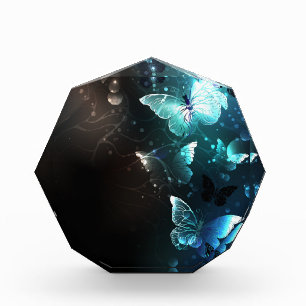 Mint Night Butterflies Photo Block