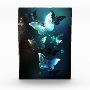 Mint Night Butterflies Photo Block