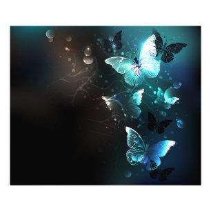 Mint Night Butterflies Photo Print