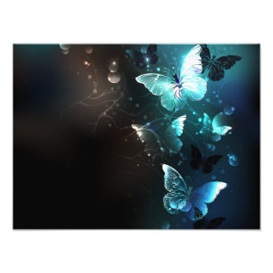 Mint Night Butterflies Photo Print
