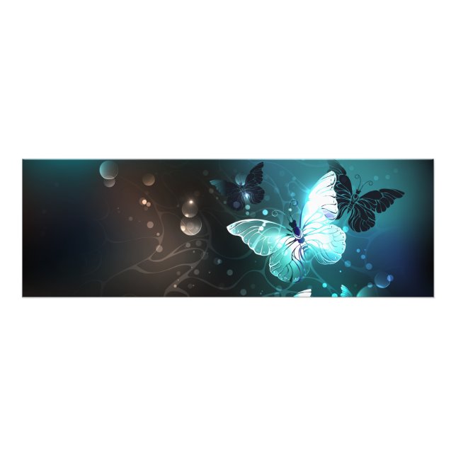 Mint Night Butterflies Photo Print (Front)