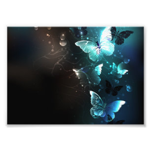 Mint Night Butterflies Photo Print