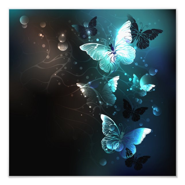 Mint Night Butterflies Photo Print (Front)