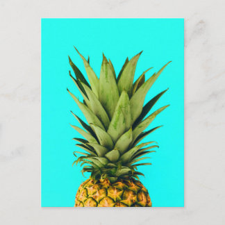Mint Pineapple Top Postcard