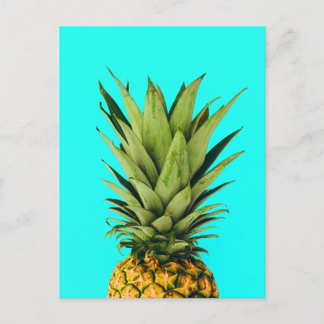 Mint Pineapple Top Postcard (Front)