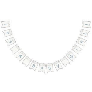 Mint Turquoise Boy Baby Shower bunting banner