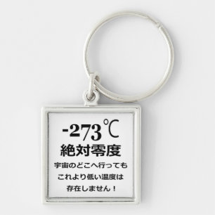 Minus 273 keychain