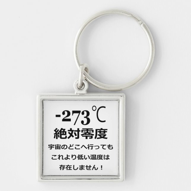Minus 273 keychain (Front)