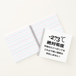 Minus 273 notebook