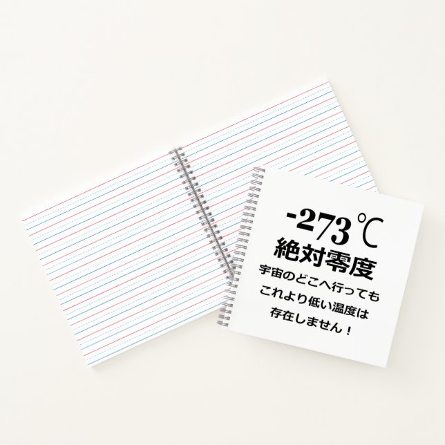 Minus 273 notebook (Inside)