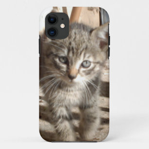 Minuscule Kitten IPhone 5 coque