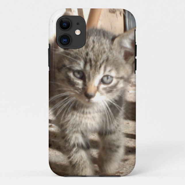 Minuscule Kitten IPhone 5 coque (Dos)