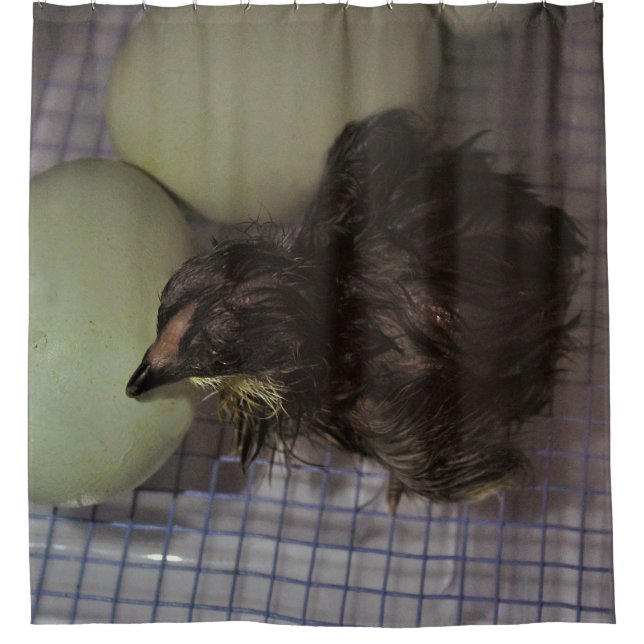 Minutes Old (Front)
