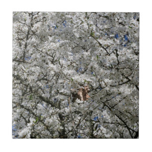 Mirabelle Blossom Ceramic Tile