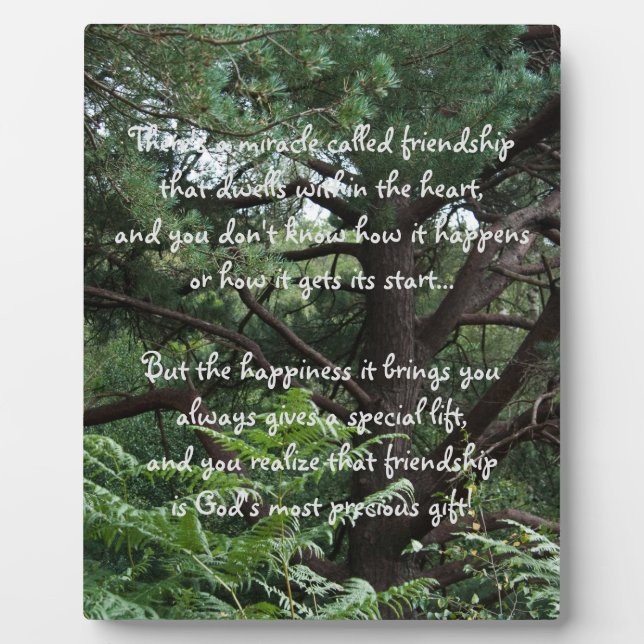 Miracle de l'amitié Poem Plaque (Devant)