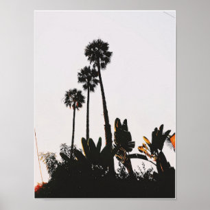 Miracle Mile Palms Poster