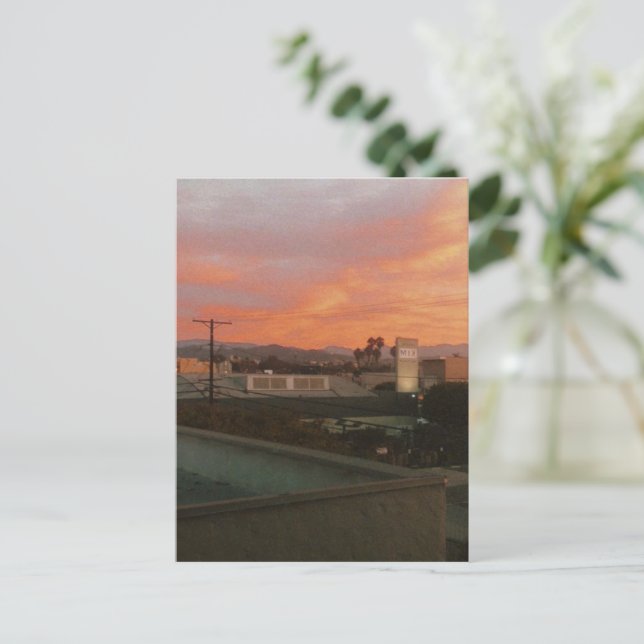 Miracle Mile Sunset - Los Angeles - California Postcard (Standing Front)