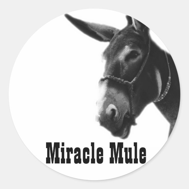 Miracle Mule Stickers (Front)